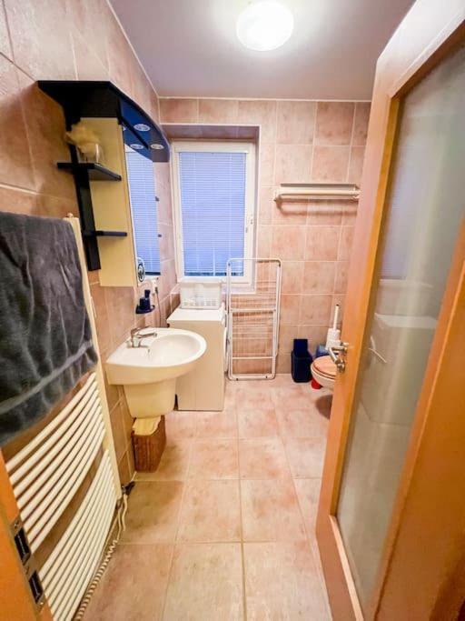 Prokop Apartment Zelezna Ruda Bagian luar foto