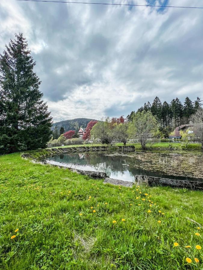 Prokop Apartment Zelezna Ruda Bagian luar foto